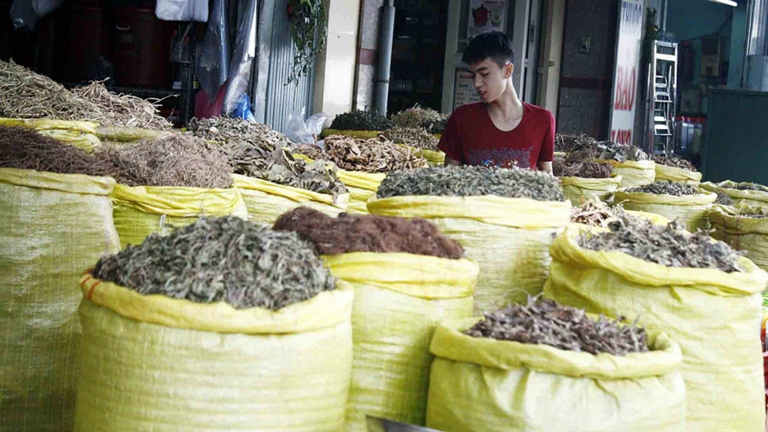 Dược liệu Trung Quốc: Vừa d&ugrave;ng vừa lo rước bệnh