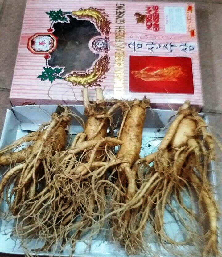  Nh&acirc;n s&acirc;m tươi được quảng c&aacute;o nhập từ H&agrave;n Quốc đang ''loạn gi&aacute;'' tr&ecirc;n thị trường
