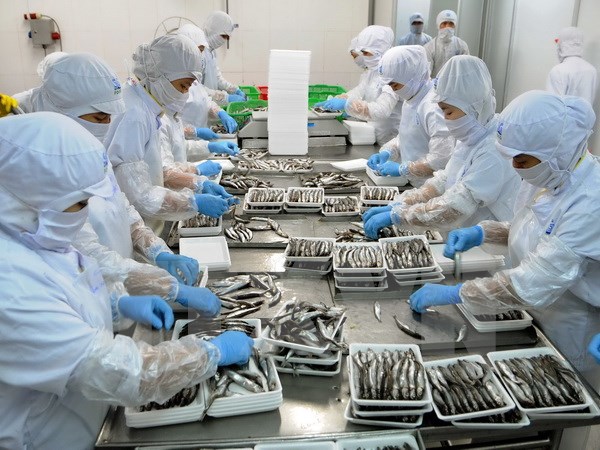 Hậu Giang đặt mục ti&ecirc;u 90% sản phẩm h&agrave;ng h&oacute;a chủ lực được đăng k&yacute; bảo hộ Sở hữu c&ocirc;ng nghiệp