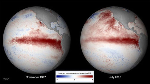 D&ograve;ng biển ấm (m&agrave;u đỏ) quanh đường x&iacute;ch đạo do hiện tượng El Nino g&acirc;y n&ecirc;n thời tiết bất thường. 