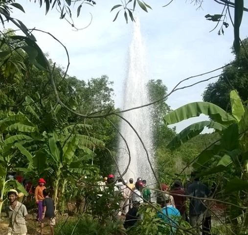 Hiện tượng lạ tại khu vườn nh&agrave; &ocirc;ng Bảnh khiến nhiều d&acirc;n hiếu kỳ tới xem