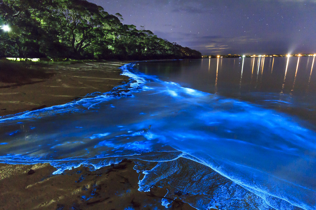 Sóng phát quang sinh học, đảo Vaadhoo, Maldives, là do một loại vi khuẩn phát sáng thường được gọi là 13Win19 thể thao, đá gà, bắn cá, game bài, nổ hũ phù du biển có thể phát sáng trong bóng tối.