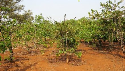 Hiện trường nơi diễn ra vụ việc hiếp d&acirc;m trẻ em ở Đắk Lắk