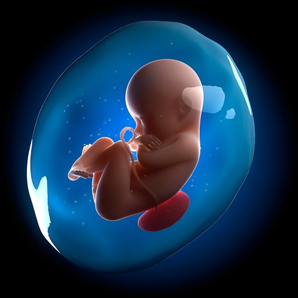 Hiện tượng b&iacute; ẩn kh&oacute; l&yacute; giải của ca sinh em b&eacute; nằm trong bọc nước ối