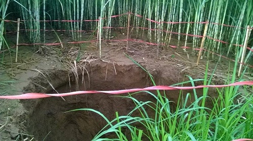Ch&iacute;nh quyền địa phương phong tỏa, cắm biển cảnh b&aacute;o nguy hiểm khu vực xuất hiện &lsquo;hố tử thần&rsquo;
