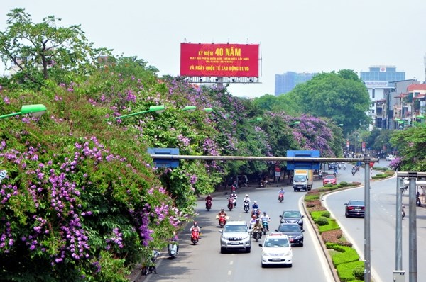 Bằng lăng là loài cây có nguồn gốc từ Ấn Độ, mỗi năm hoa nở trong khoảng thời gian từ đầu tháng 4 đến cuối tháng 7. Bằng lăng là loài cây có nguồn gốc từ Ấn Độ, mỗi năm hoa nở trong khoảng thời gian từ đầu tháng 4 đến cuối tháng 7.