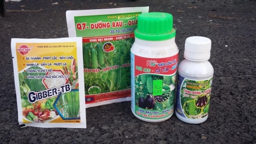 C&aacute;c loại ph&acirc;n b&oacute;n l&aacute;, 13Win21 con - Tri ân hội viên mỗi tháng 2000 tỷ c&oacute; c&ocirc;ng năng k&iacute;ch th&iacute;ch tr&aacute;i to, d&agrave;i, thẳng&hellip;