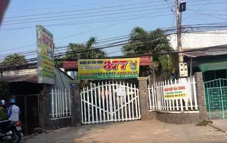 của gia đ&igrave;nh hoa hậu Triều Thu