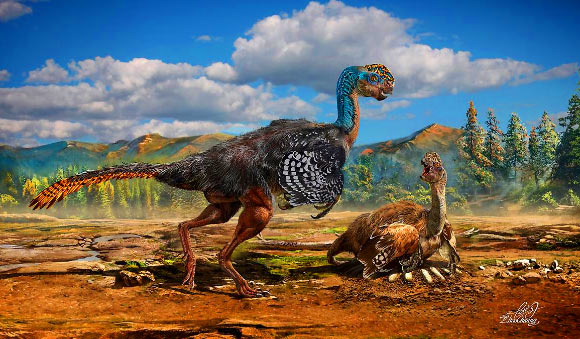 H&oacute;a thạch khủng long kỳ lạ n&agrave;y thuộc nh&oacute;m khủng long c&oacute; l&ocirc;ng vũ oviraptor