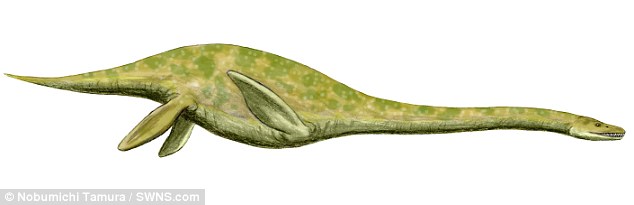 H&igrave;nh minh họa lo&agrave;i plesiosaur c&oacute; cổ d&agrave;i 2,4 m&eacute;t