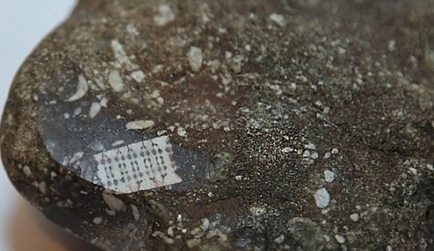 H&oacute;a thạch cổ đại n&agrave;y đ&aacute;nh dấu sự khởi đầu của một lịch sử người ngo&agrave;i h&agrave;nh tinh cổ đại đ&atilde; n&oacute;i đ&ecirc;́n trong nhiều năm
