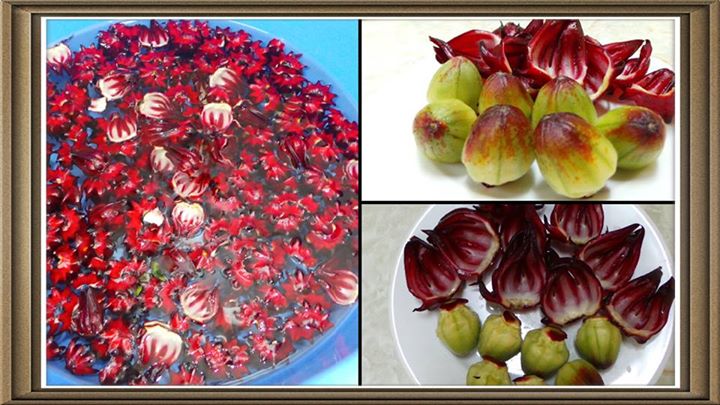 Hoa Hibiscus - Atiso g&oacute;p phần đẩy l&ugrave;i bệnh tật cho người d&ugrave;ng