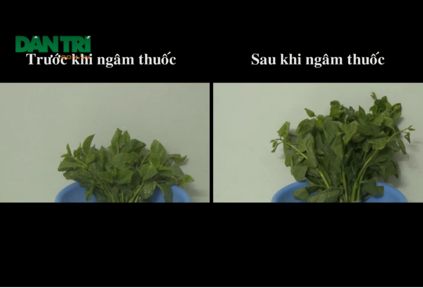 Hóa ch&acirc;́t lạ bị phát hi&ecirc;̣n trong thực ph&acirc;̉m