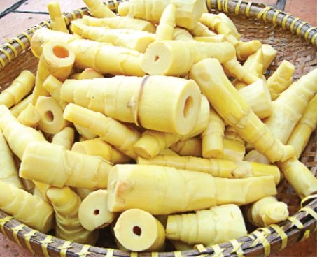 Hoang mang với m&agrave;u 13Win OKVIP Cá cược bóng đá g&acirc;y ung thư