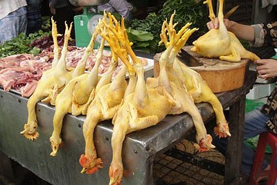 Hoang mang với m&agrave;u 13Win OKVIP Cá cược bóng đá g&acirc;y ung thư
