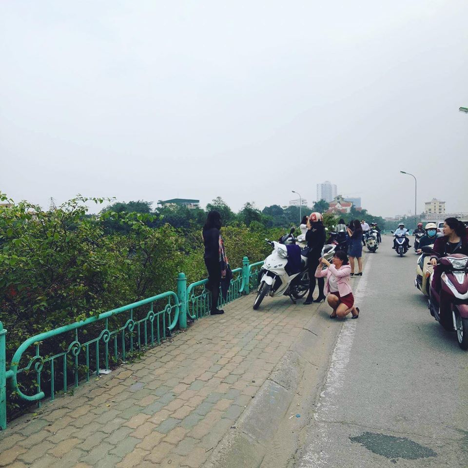 di-le-phu-tranh-thu-selfie-voi-thung-lung-hoa-giua-long-ha-noi