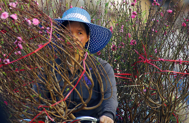day-la-ly-do-nguoi-nguoi-nuom-nuop-thu-mua-xac-dao-sau-tet