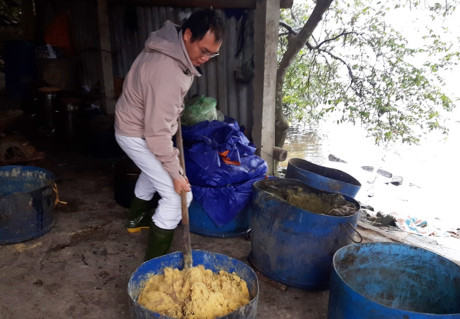 tu-bo-luong-ngan-do-tai-duc-ve-vn-nuoi-ga-tom-lam-giau-10-ty-nam