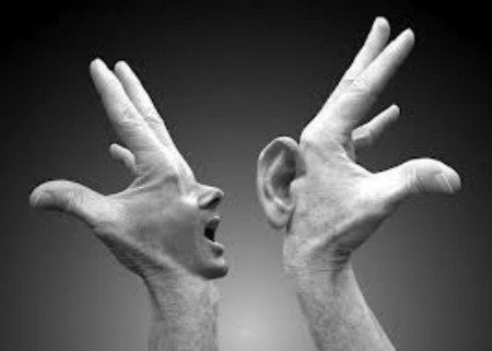 cai-chet-cua-con-bo-va-bai-hoc-ve-su-can-trong-trong-loi-noi