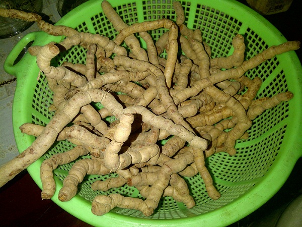 ngam-ruou-ba-kich-sai-cach-bo-duong-thanh-liet-duong