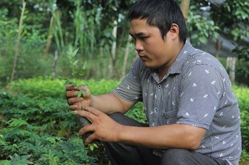 thac-si-tat-nguyen-lam-giau-tu-vuon-uom-thu-3-ty-nam