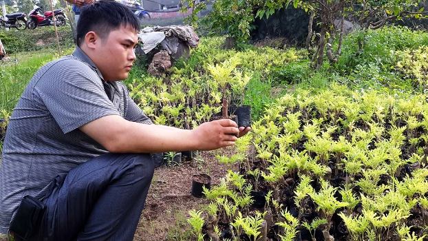 thac-si-tat-nguyen-lam-giau-tu-vuon-uom-thu-3-ty-nam