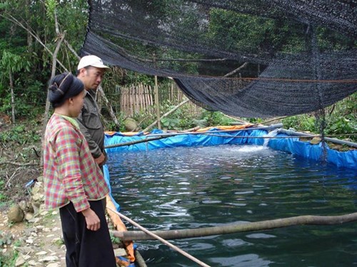 gap-go-nguoi-tay-kiem-duoc-vang-dau-tien-tren-dinh-mau-son