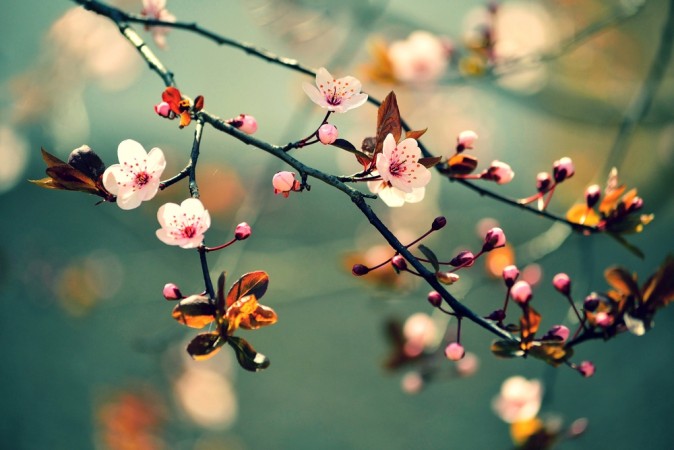 Sinh c&ugrave;ng ng&agrave;y th&aacute;ng nhưng người l&agrave;m lụng cả đời vẫn đ&oacute;i r&aacute;ch, người chẳng lo nghĩ vẫn gi&agrave;u?
