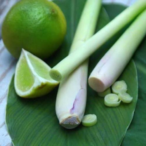 Uống ly nước n&agrave;y trong 1 tuần mỡ bụng tan chảy, c&acirc;n nặng giảm kh&ocirc;ng phạnh