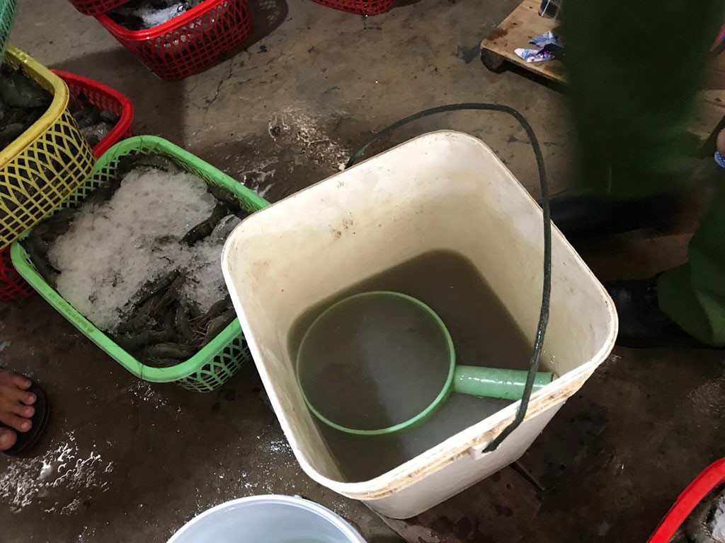 Bạc Li&ecirc;u: Bắt quả tang 2 cơ sở bơm tạp chất v&agrave;o t&ocirc;m để tăng trọng