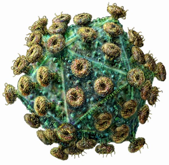 Những điều phải biết về HIV/AIDS nếu kh&ocirc;ng muốn hối hận cả đời