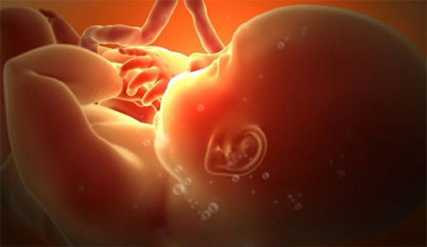 Mẹ bầu 3 th&aacute;ng đầu phải nhớ những điều n&agrave;y nếu kh&ocirc;ng muốn hại con
