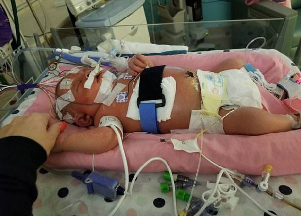Bạn sẽ kh&ocirc;ng muốn người lạ &acirc;u yếm qu&aacute; mức hoặc thoải m&aacute;i chạm v&agrave;o con sau khi đọc b&agrave;i viết n&agrave;y!