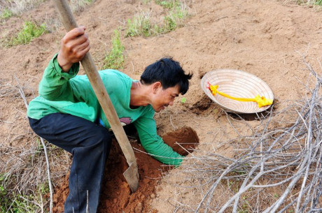 L&agrave;m gi&agrave;u từ nu&ocirc;i con đặc sản: Nghề săn dế cơm kiếm 300.000 đồng một ng&agrave;y ở miền T&acirc;y