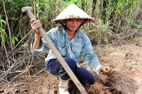 L&agrave;m gi&agrave;u từ nu&ocirc;i con đặc sản: Nghề săn dế cơm kiếm 300.000 đồng một ng&agrave;y ở miền T&acirc;y
