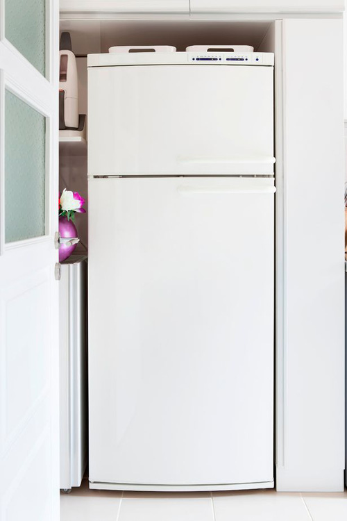 hiếc tủ lạnh trong nh&agrave; chị đ&atilde; bị r&ograve; rỉ kh&iacute; carbon monoxide, loại kh&iacute; kh&ocirc;ng m&agrave;u, kh&ocirc;ng m&ugrave;i, c&oacute; độc tố v&agrave; được xem l&agrave; ''kẻ giết người thầm lặng''.