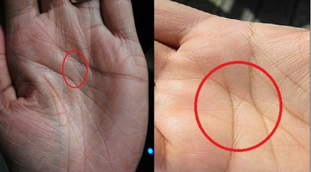 Đường chỉ tay chỉ 3% d&acirc;n số sở hữu đặc biệt đến thế n&agrave;o?