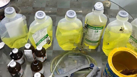 Hơn 5000 con lợn ti&ecirc;m thuốc an thần chờ mổ: Sẽ bị ung thư nếu ăn phải