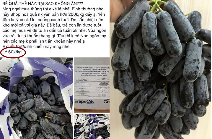 Nho đỏ kh&ocirc;ng hạt Nicolo Claret đại hạ gi&aacute; gấp 3 lần gi&aacute; thực, chất lượng thế n&agrave;o?
