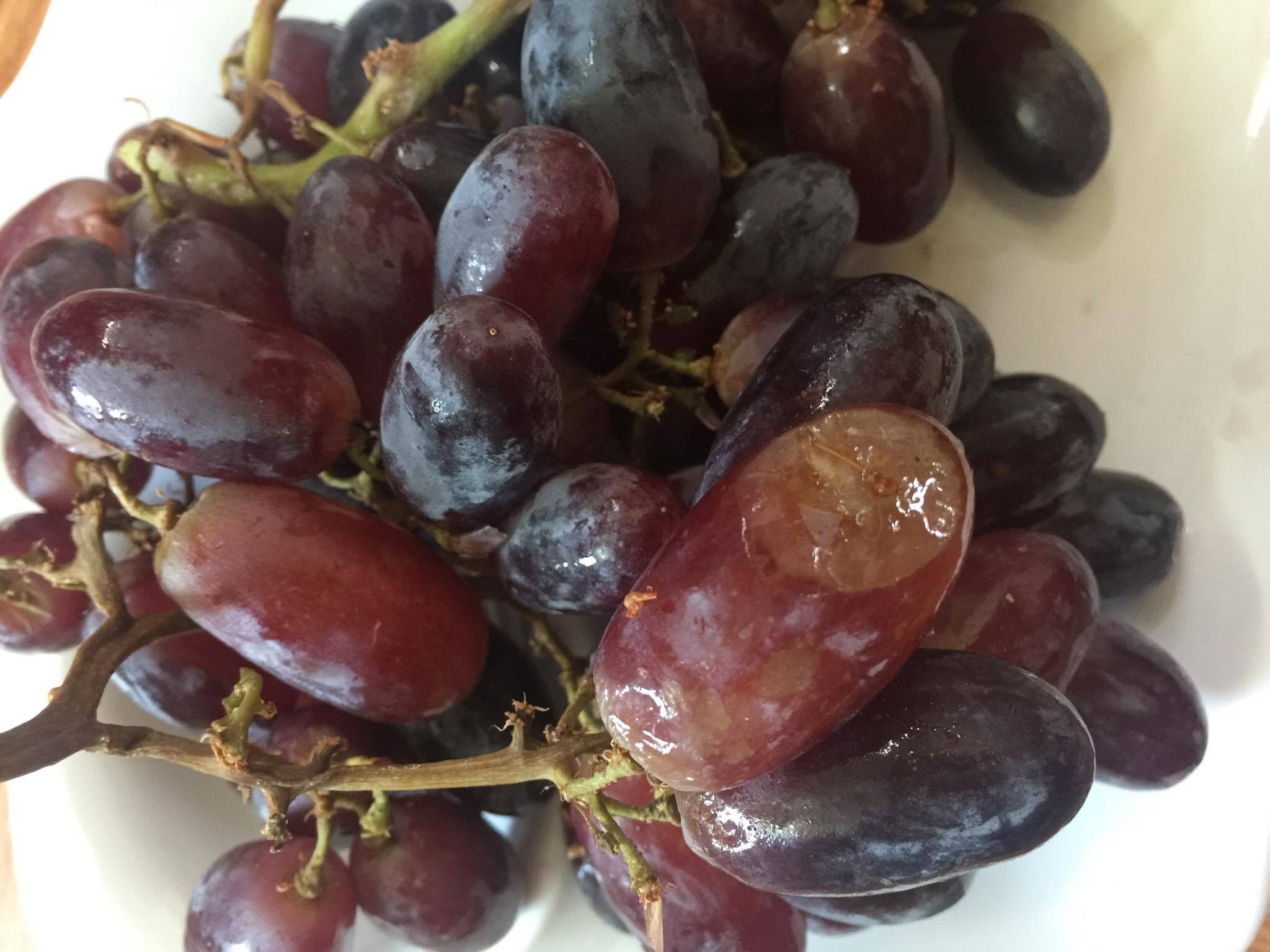 Nho đỏ kh&ocirc;ng hạt Nicolo Claret đại hạ gi&aacute; gấp 3 lần gi&aacute; thực, chất lượng thế n&agrave;o?
