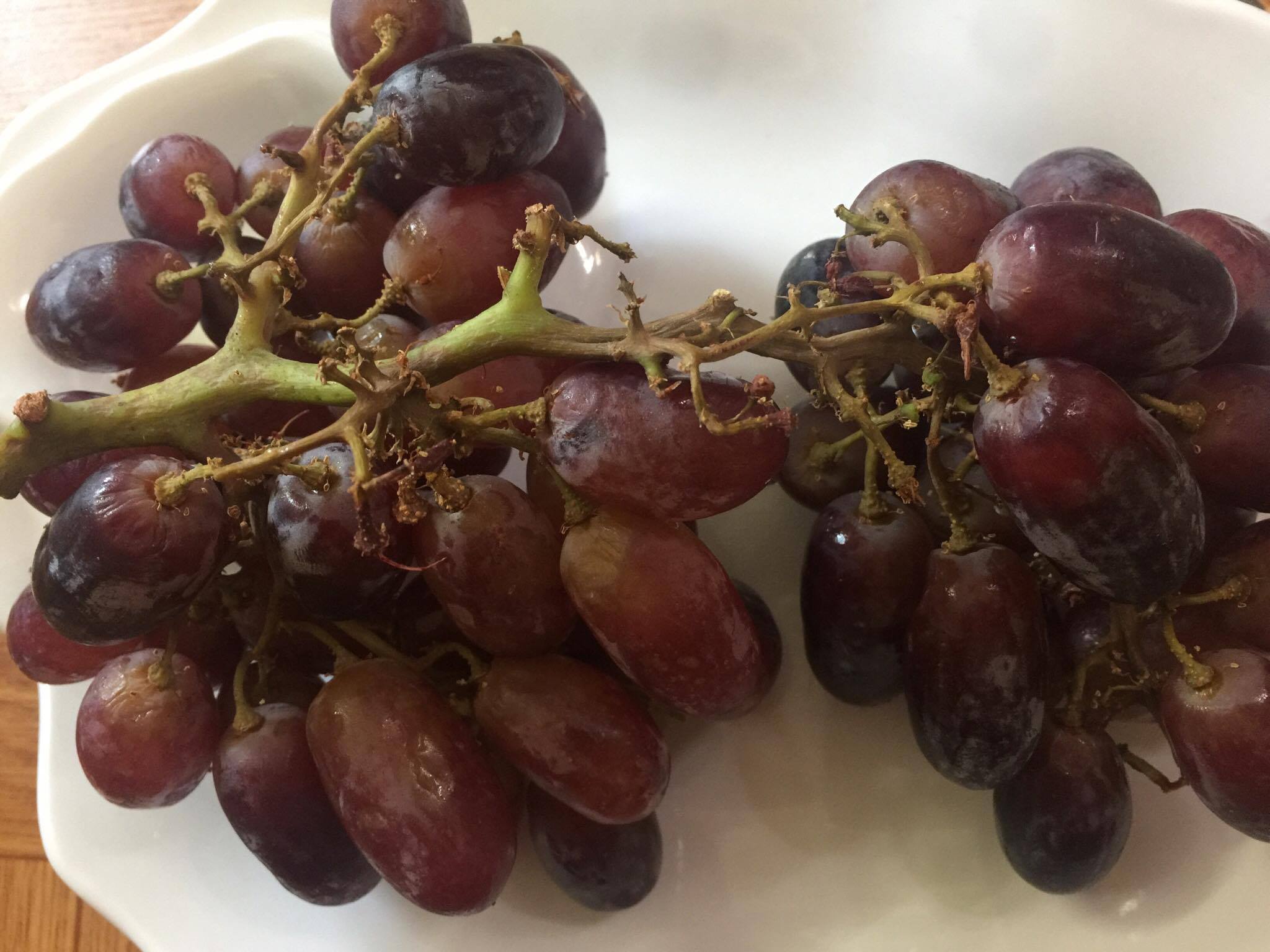 Nho đỏ kh&ocirc;ng hạt Nicolo Claret đại hạ gi&aacute; gấp 3 lần gi&aacute; thực, chất lượng thế n&agrave;o?