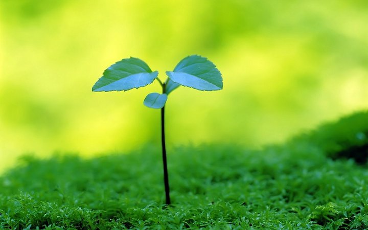 Người trẻ chỉ chăm chăm gom tiền đi du lịch, phượt chẳng kh&aacute;c n&agrave;o một c&aacute;i c&acirc;y m&agrave; kh&ocirc;ng c&oacute; rễ