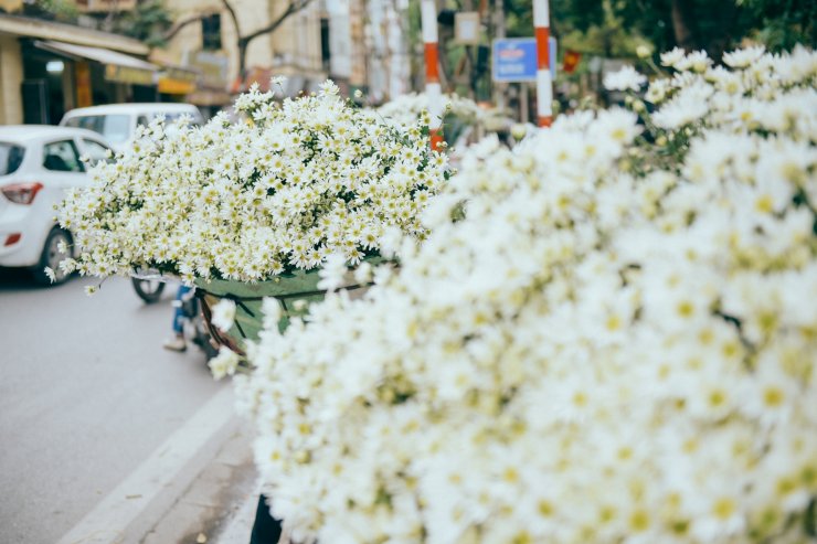Rung động một H&agrave; Nội đẹp ngỡ ng&agrave;ng với c&uacute;c họa mi về tr&ecirc;n phố