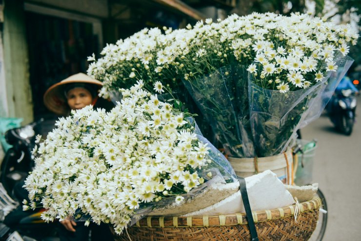 Rung động một H&agrave; Nội đẹp ngỡ ng&agrave;ng với c&uacute;c họa mi về tr&ecirc;n phố