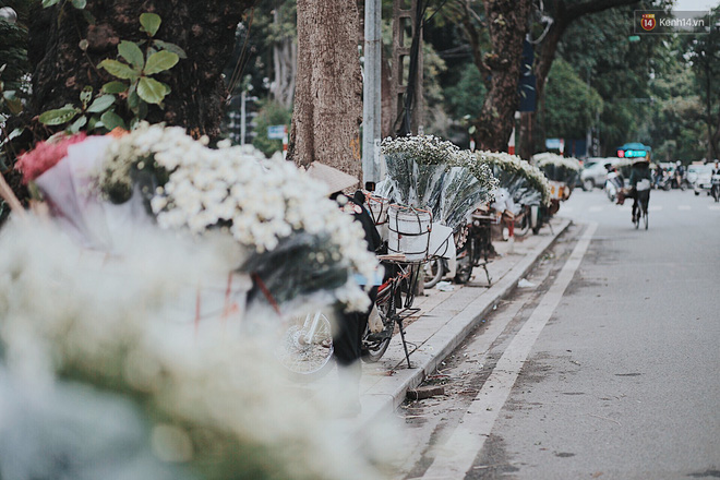 Rung động một H&agrave; Nội đẹp ngỡ ng&agrave;ng với c&uacute;c họa mi về tr&ecirc;n phố