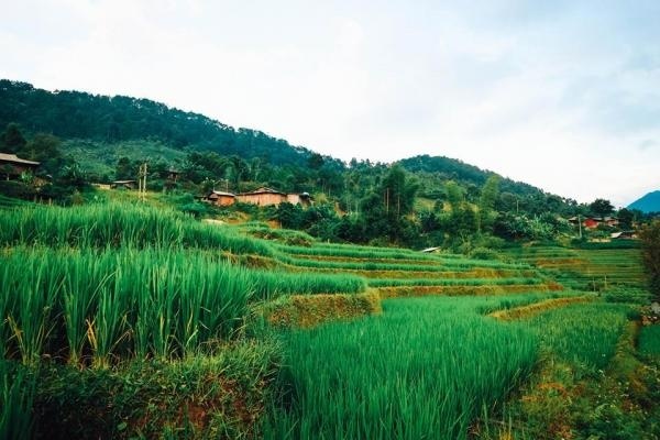 M&ugrave;a đ&ocirc;ng n&agrave;y nhất định phải đến Y&ecirc;n B&aacute;i ng&acirc;m m&igrave;nh trong suối nước n&oacute;ng, ngắm ruộng bậc thang