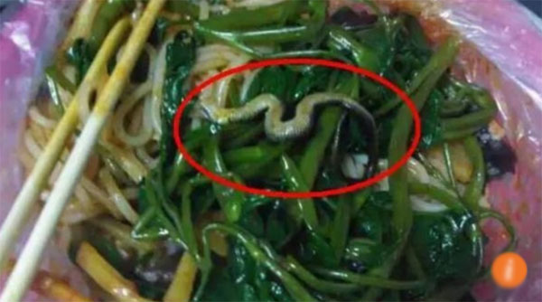 Nh&agrave; h&agrave;ng đ&oacute;ng cửa v&igrave; nh&acirc;n vi&ecirc;n vắt nước bẩn từ c&acirc;y lau nh&agrave; v&agrave;o thau ch&eacute;n