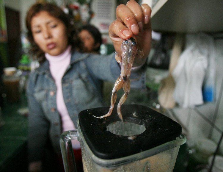 Những m&oacute;n ăn kinh dị nhất thế giới kh&ocirc;ng d&agrave;nh cho người yếu tim
