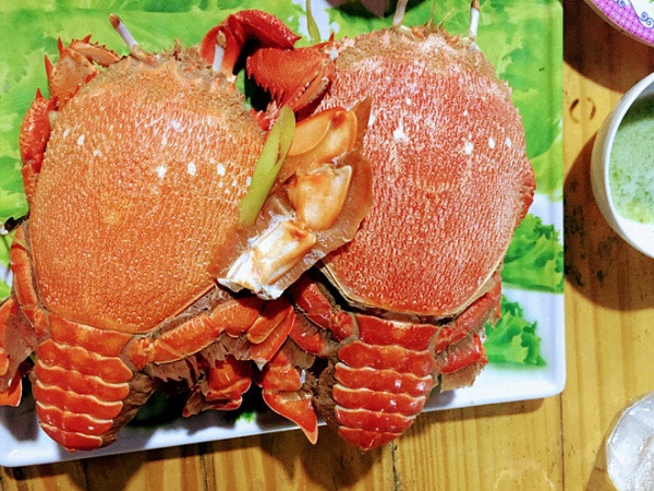 7 địa điểm checkin cực đẹp nhất định phải đến một lần ở L&yacute; Sơn