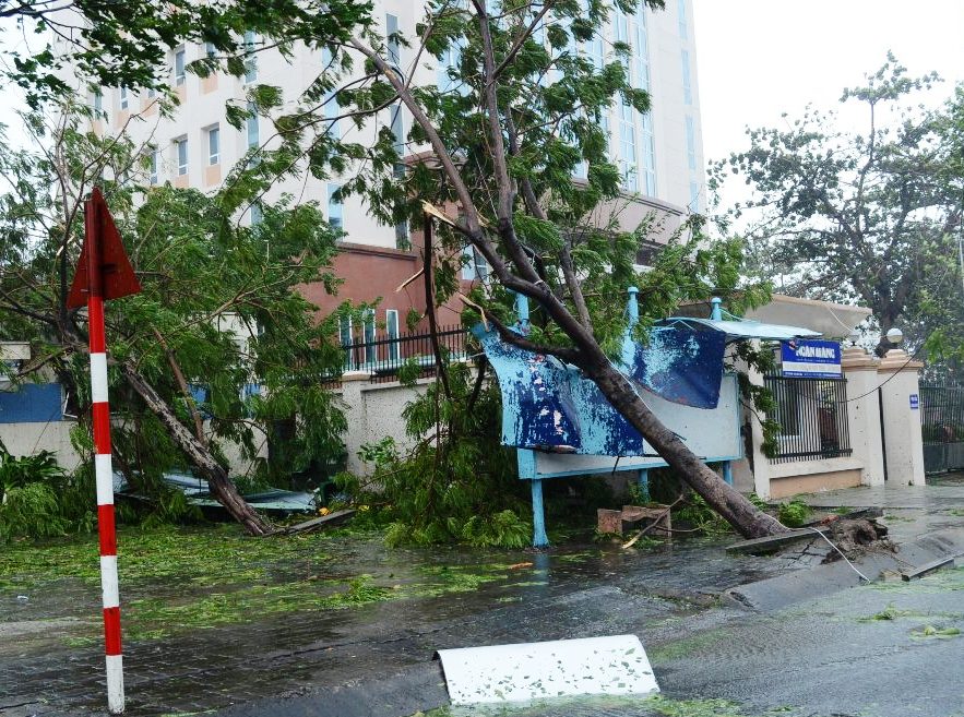 Cập nhật bão số 11